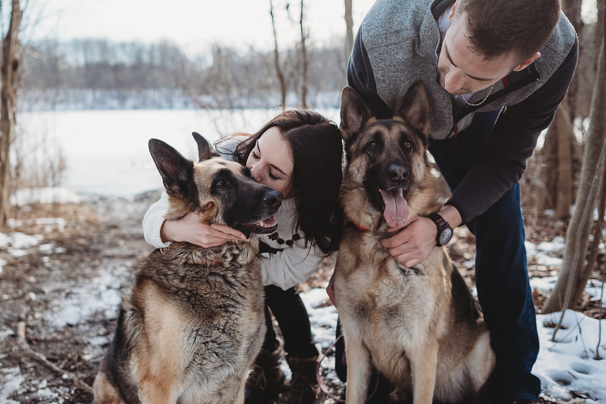 engaged couple with german shepard dogs maybury state park